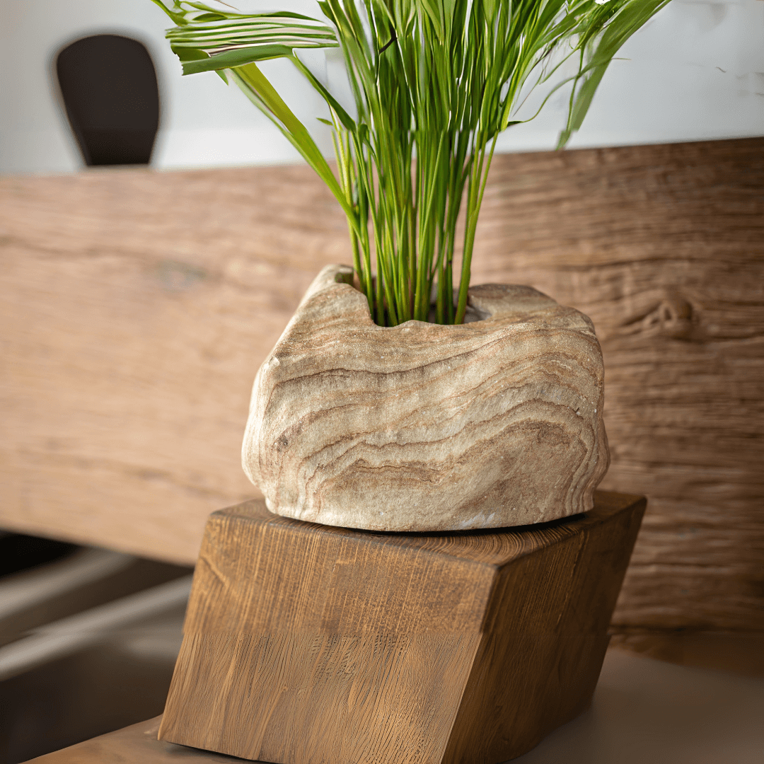 Botanyia™ Designer Blumentopf - Eleganz trifft auf Funktionalität