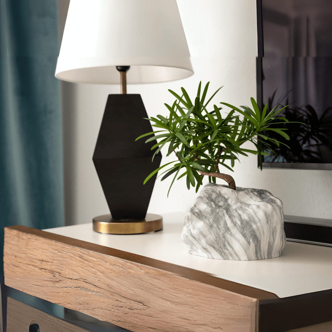 Botanyia™ Designer Blumentopf - Eleganz trifft auf Funktionalität