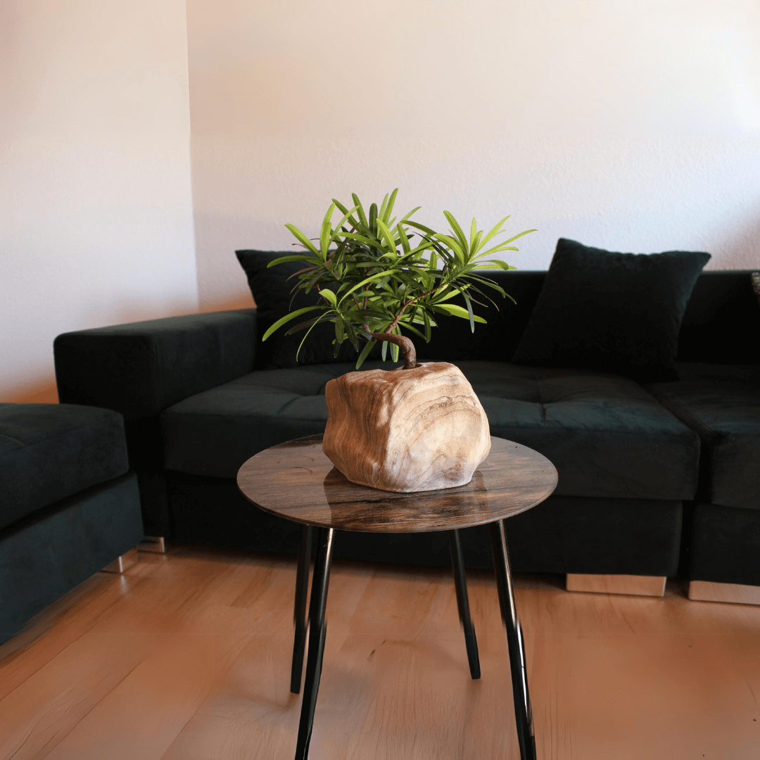 Botanyia™ Designer Blumentopf - Eleganz trifft auf Funktionalität