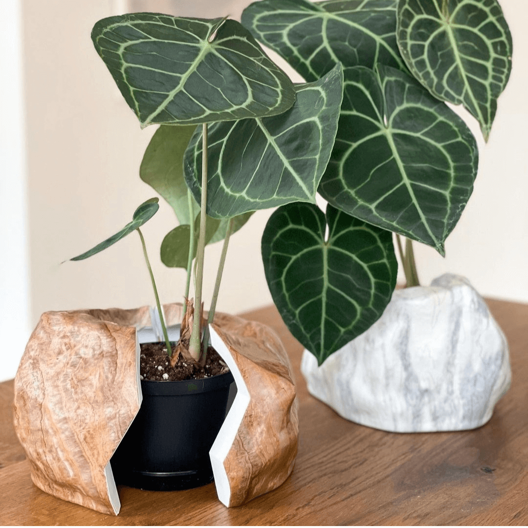 Botanyia™ Designer Blumentopf - Eleganz trifft auf Funktionalität