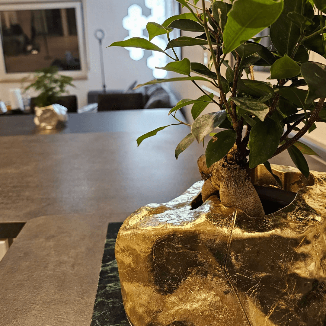 Botanyia™ Designer Blumentopf - Eleganz trifft auf Funktionalität