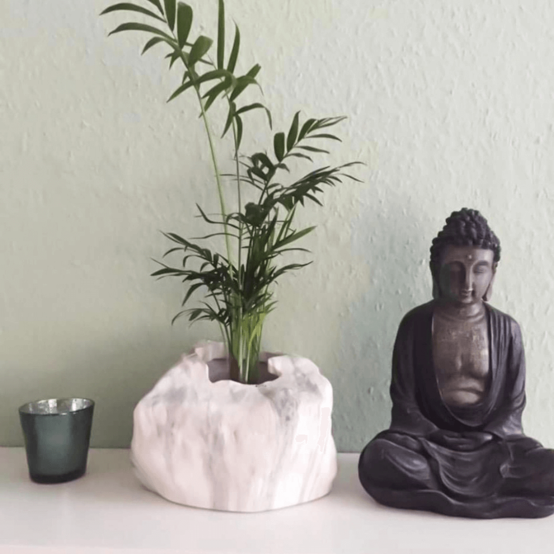 Botanyia™ Designer Blumentopf - Eleganz trifft auf Funktionalität