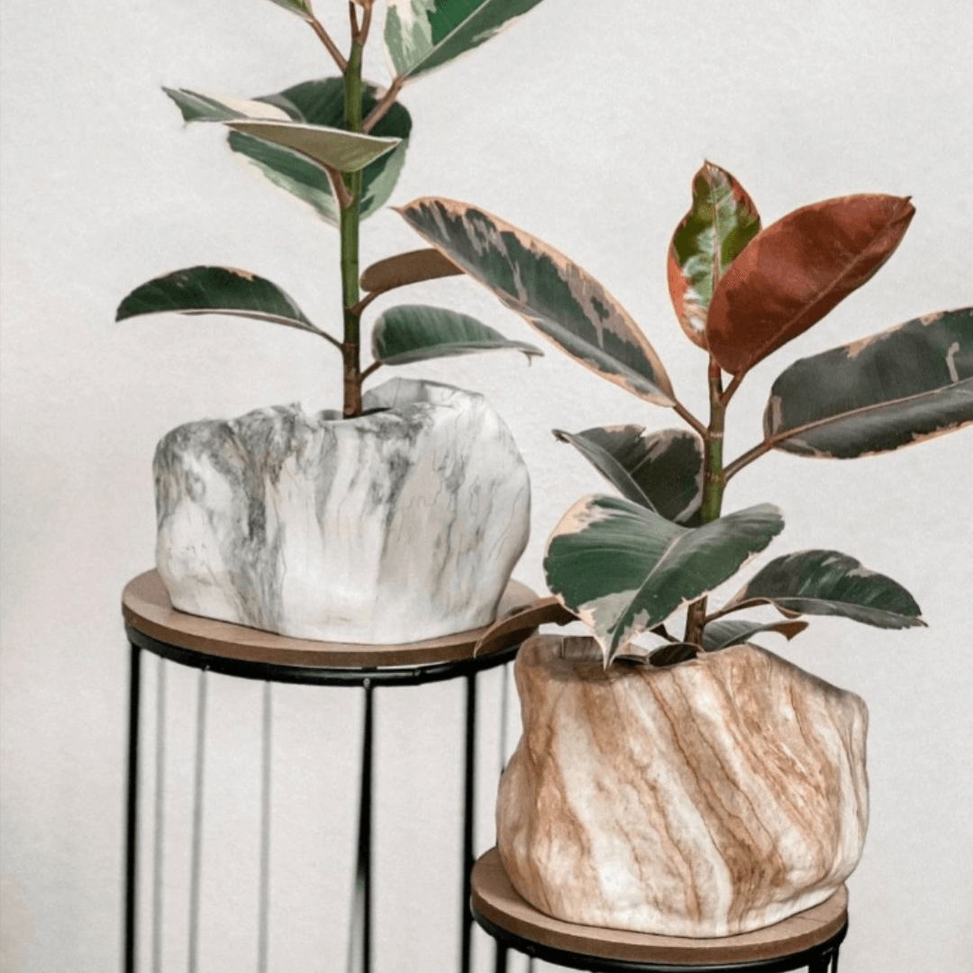 Botanyia™ Designer Blumentopf - Eleganz trifft auf Funktionalität