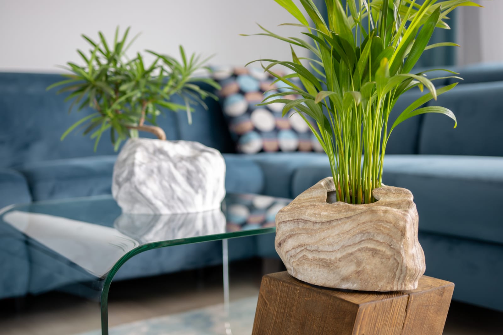 Botanyia™ Designer Blumentopf - Eleganz trifft auf Funktionalität