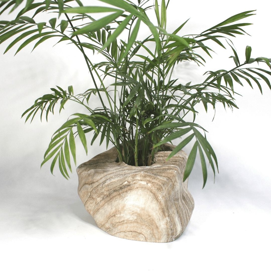 Botanyia™ Designer Blumentopf - Eleganz trifft auf Funktionalität
