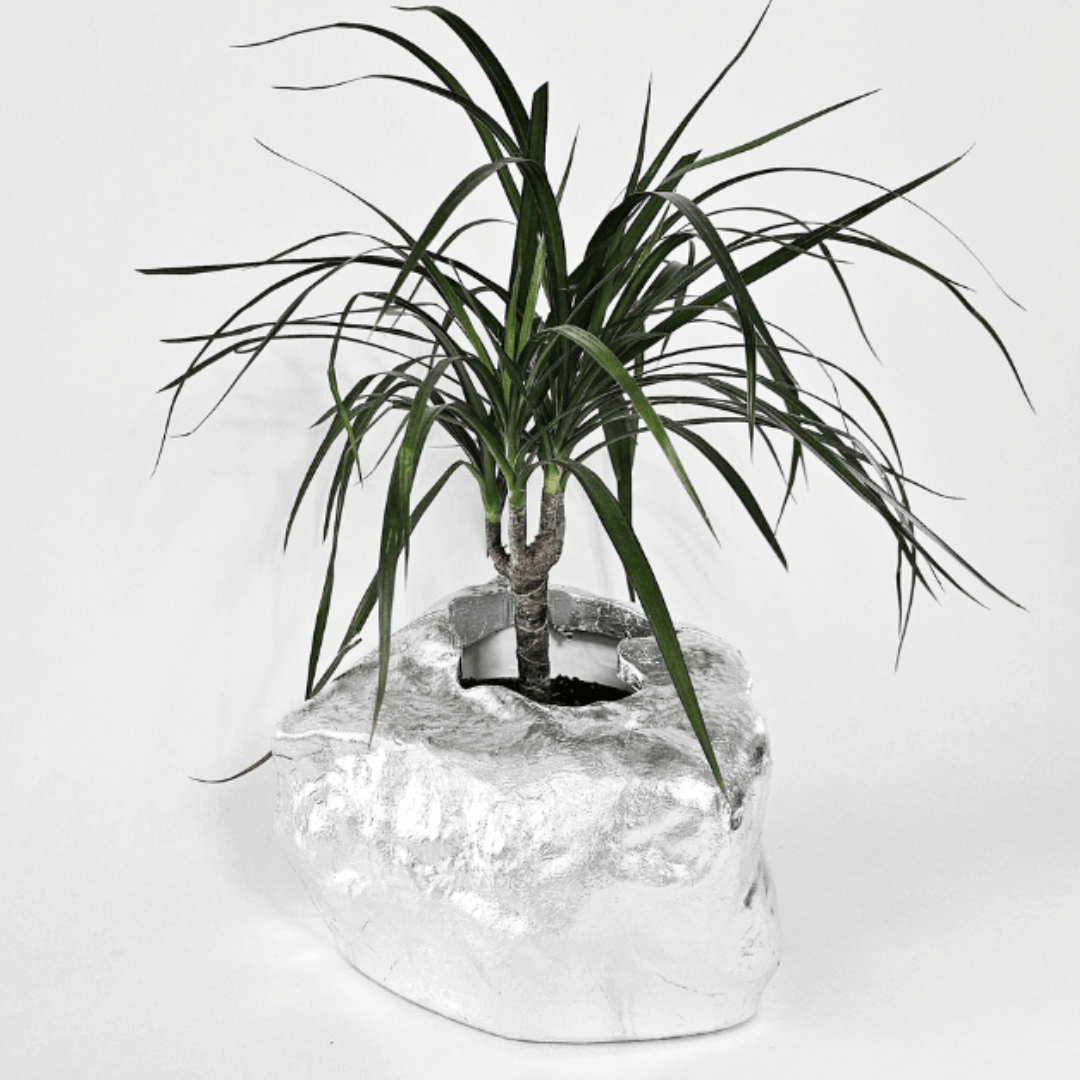 Botanyia™ Designer Blumentopf - Eleganz trifft auf Funktionalität