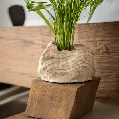 Botanyia™  Designer Blumentopf - Eleganz trifft auf Funktionalität