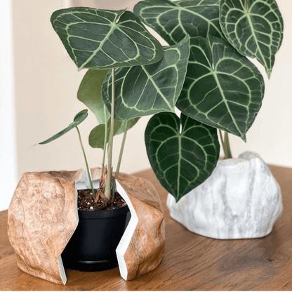 Botanyia™  Designer Blumentopf - Eleganz trifft auf Funktionalität