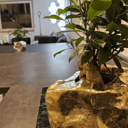 Botanyia™  Designer Blumentopf - Eleganz trifft auf Funktionalität