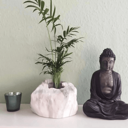 Botanyia™  Designer Blumentopf - Eleganz trifft auf Funktionalität