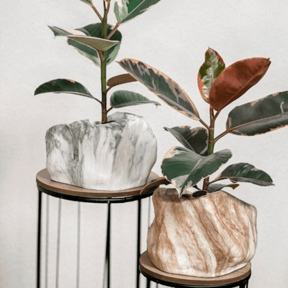 Botanyia™  Designer Blumentopf - Eleganz trifft auf Funktionalität