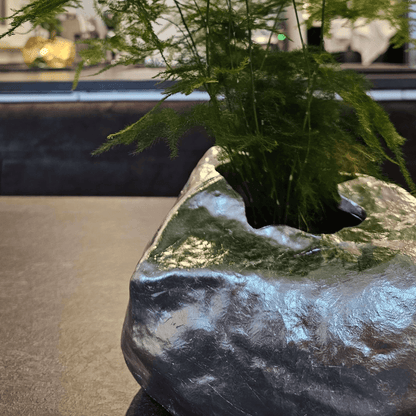 Botanyia™  Designer Blumentopf - Eleganz trifft auf Funktionalität