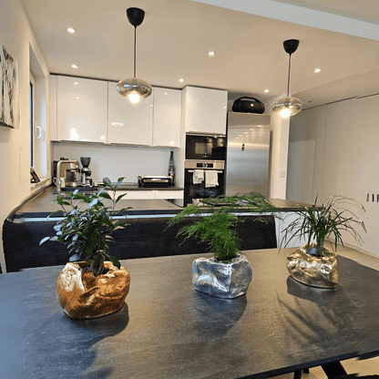 Botanyia™  Designer Blumentopf - Eleganz trifft auf Funktionalität