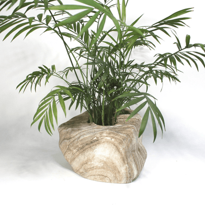 Botanyia™  Designer Blumentopf - Eleganz trifft auf Funktionalität