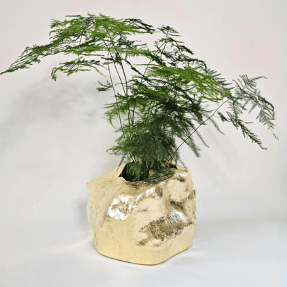 Botanyia™  Designer Blumentopf - Eleganz trifft auf Funktionalität