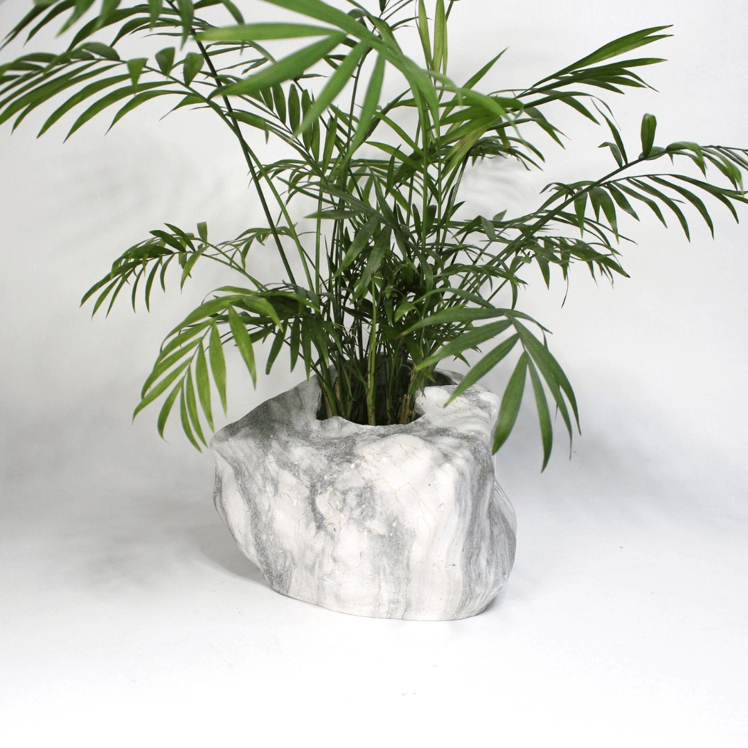 Botanyia™  Designer Blumentopf - Eleganz trifft auf Funktionalität