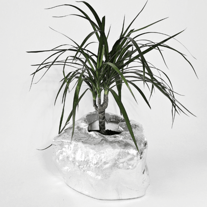 Botanyia™  Designer Blumentopf - Eleganz trifft auf Funktionalität